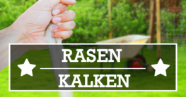 Rasen kalken